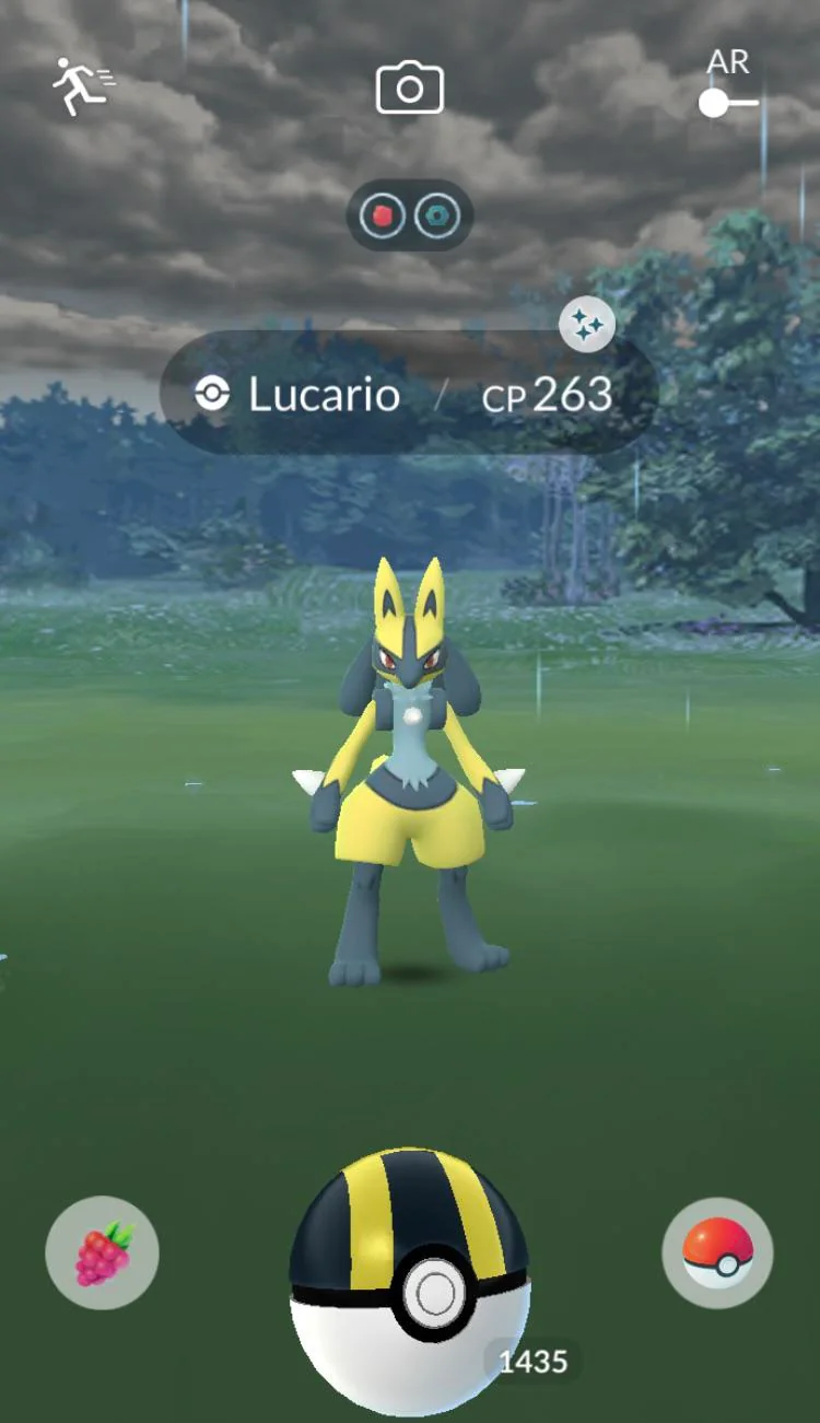 wild-shiny-lucario